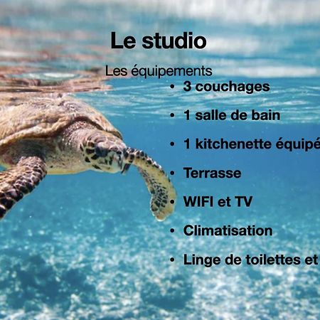 Studio Hippocampe P&V Sainte-Luce Extérieur photo