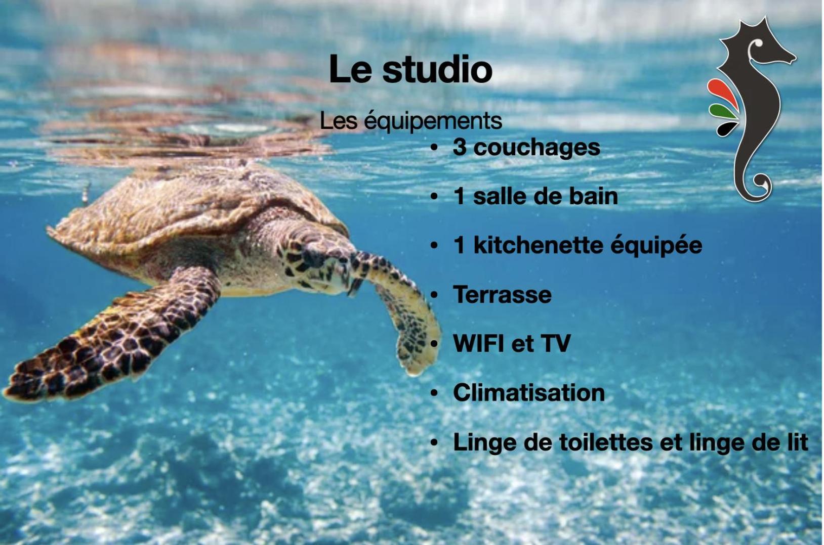 Studio Hippocampe P&V Sainte-Luce Extérieur photo